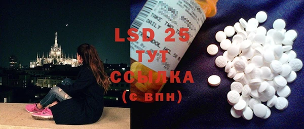 ECSTASY Алзамай