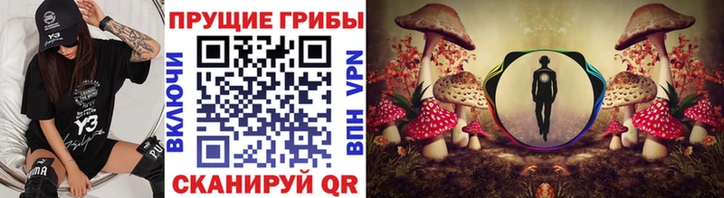Галлюциногенные грибы мицелий blacksprut зеркало Алапаевск